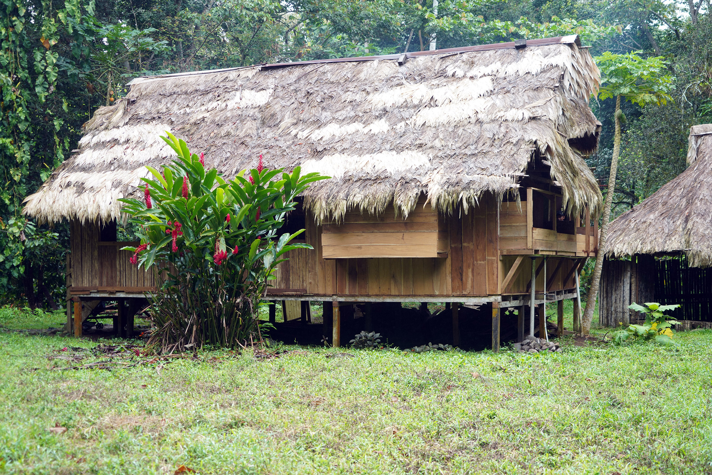 Costa Rica - Février 2025